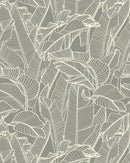 Tropical Silhouettes