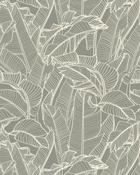 Tropical Silhouettes