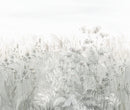 Mist of Meadows