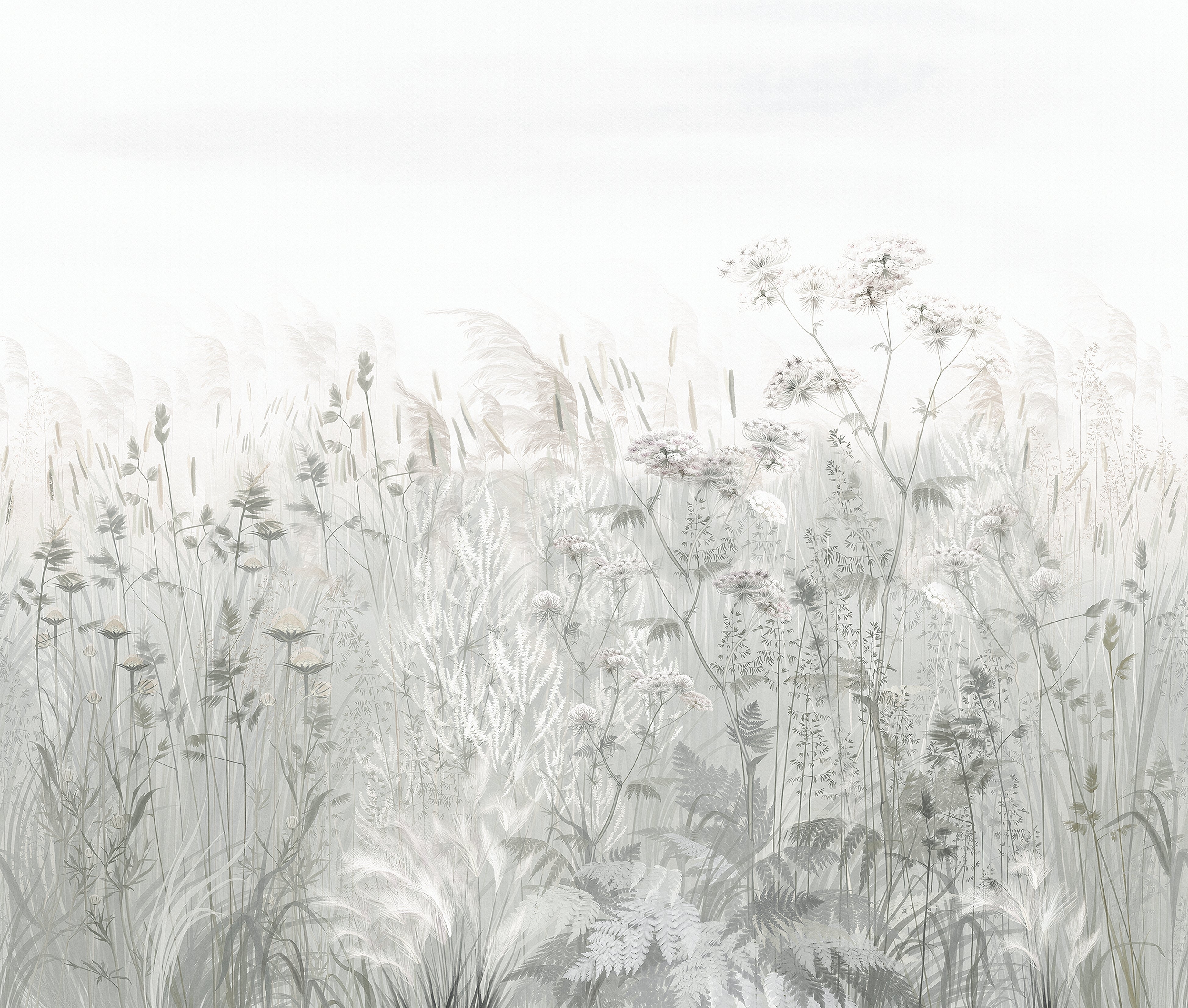Mist of Meadows