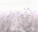 Mist of Meadows